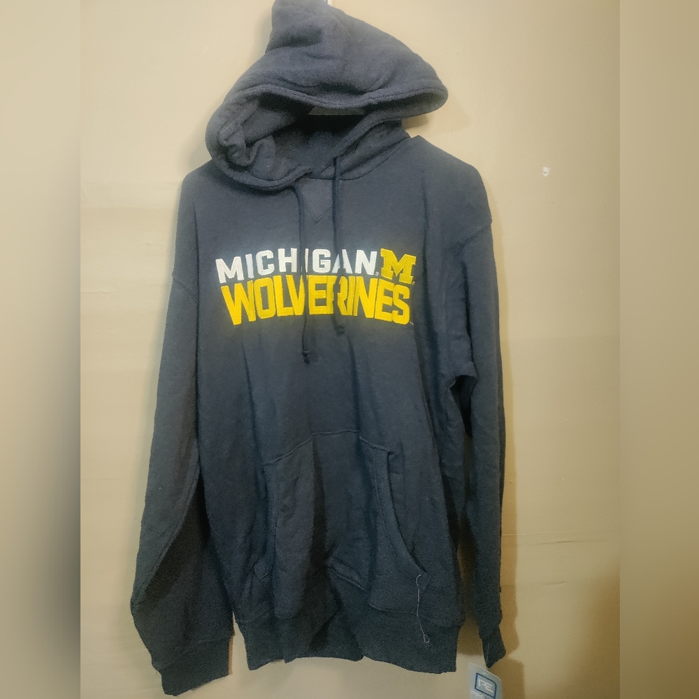 Pro edge Michigan wolverines hoodie